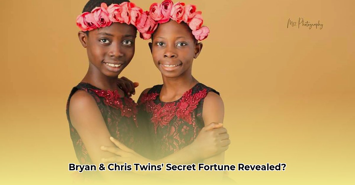bryan-and-chris-twins-net-worth